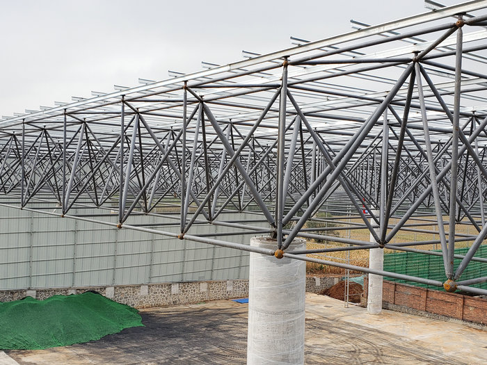 新項目展示 (5).jpg